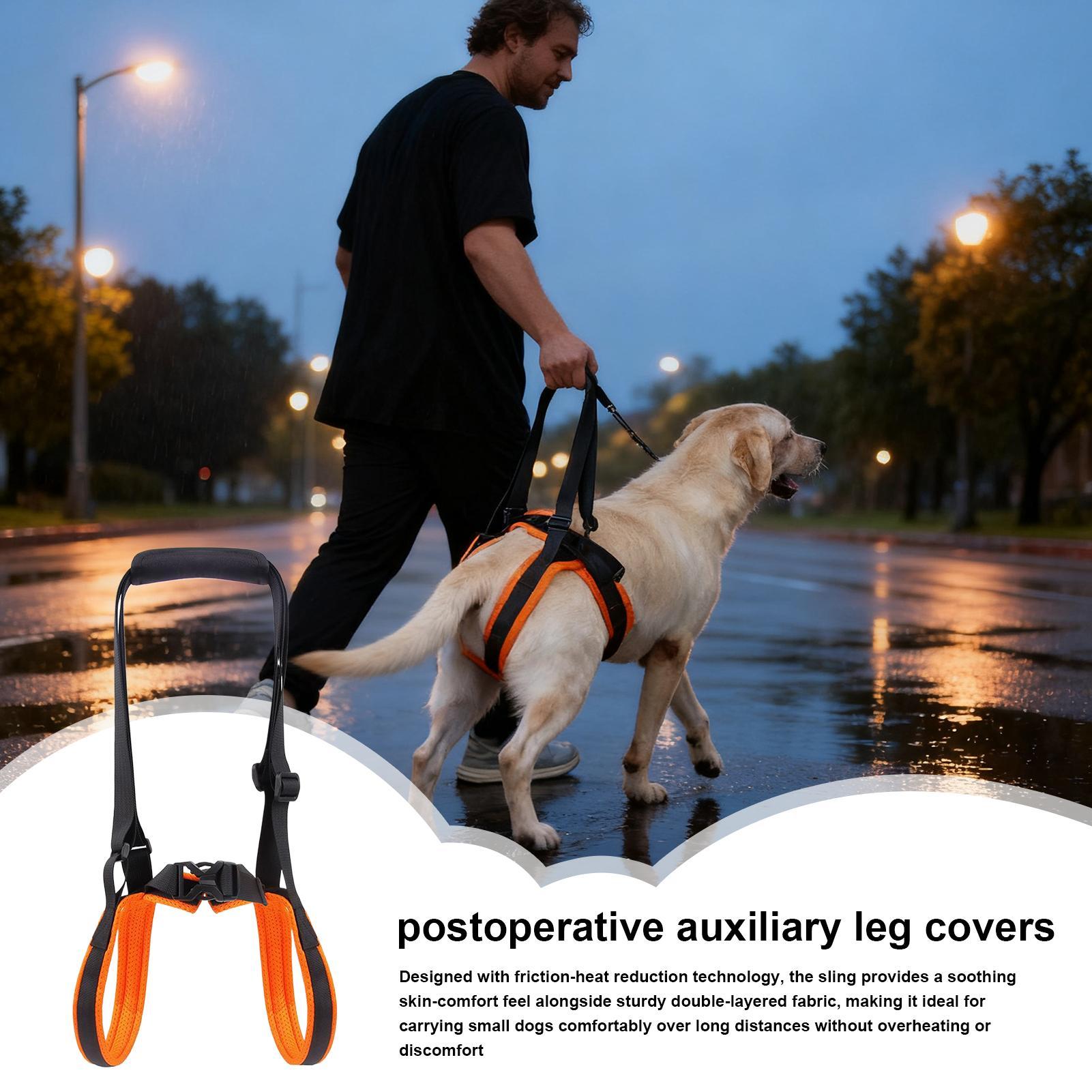 Dog Lift Harness Adjustable St – Ladder Toss Set recenzja i cena